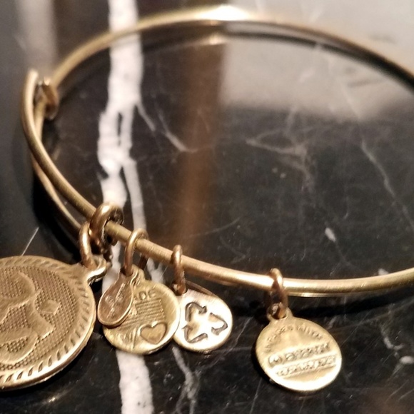 Alex And Ani OM Charm Bangle Bracelet Rafaelian Ru - Picture 5 of 8